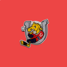 Load image into Gallery viewer, Magnet