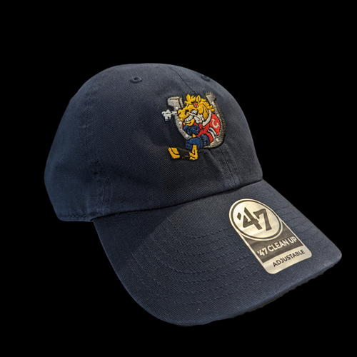 ADULT - 47 BRAND DAD HAT