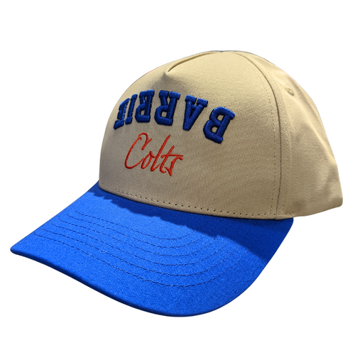 ADULT - Upside Down HAT